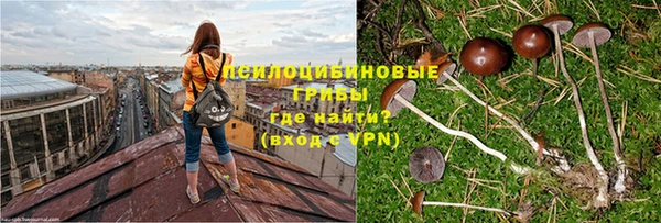 стафф Саяногорск