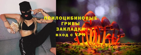 стафф Саяногорск